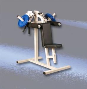 Wilder Fitness Plate Loaded Lateral Raise