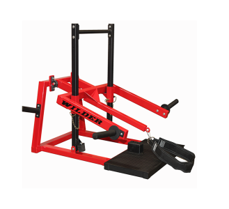 Wilder Fitness Back Belt Squat
