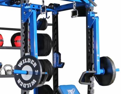Wilder Power Lunge Arms