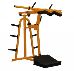 Wilder Power Squat